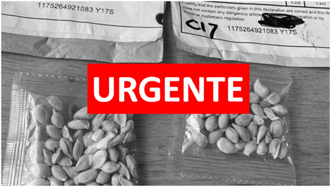Governo encontra pragas em sementes enviadas da China ao Brasil