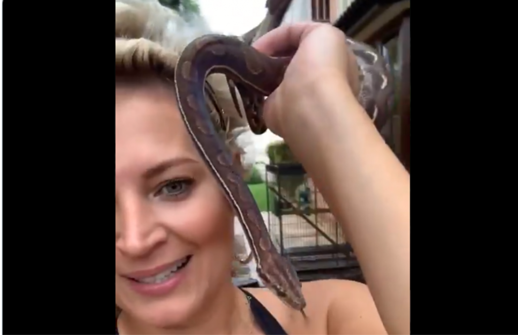 Joice posta vídeo segurando cobra e web faz piada: "Se ela te picar, ela morre!"